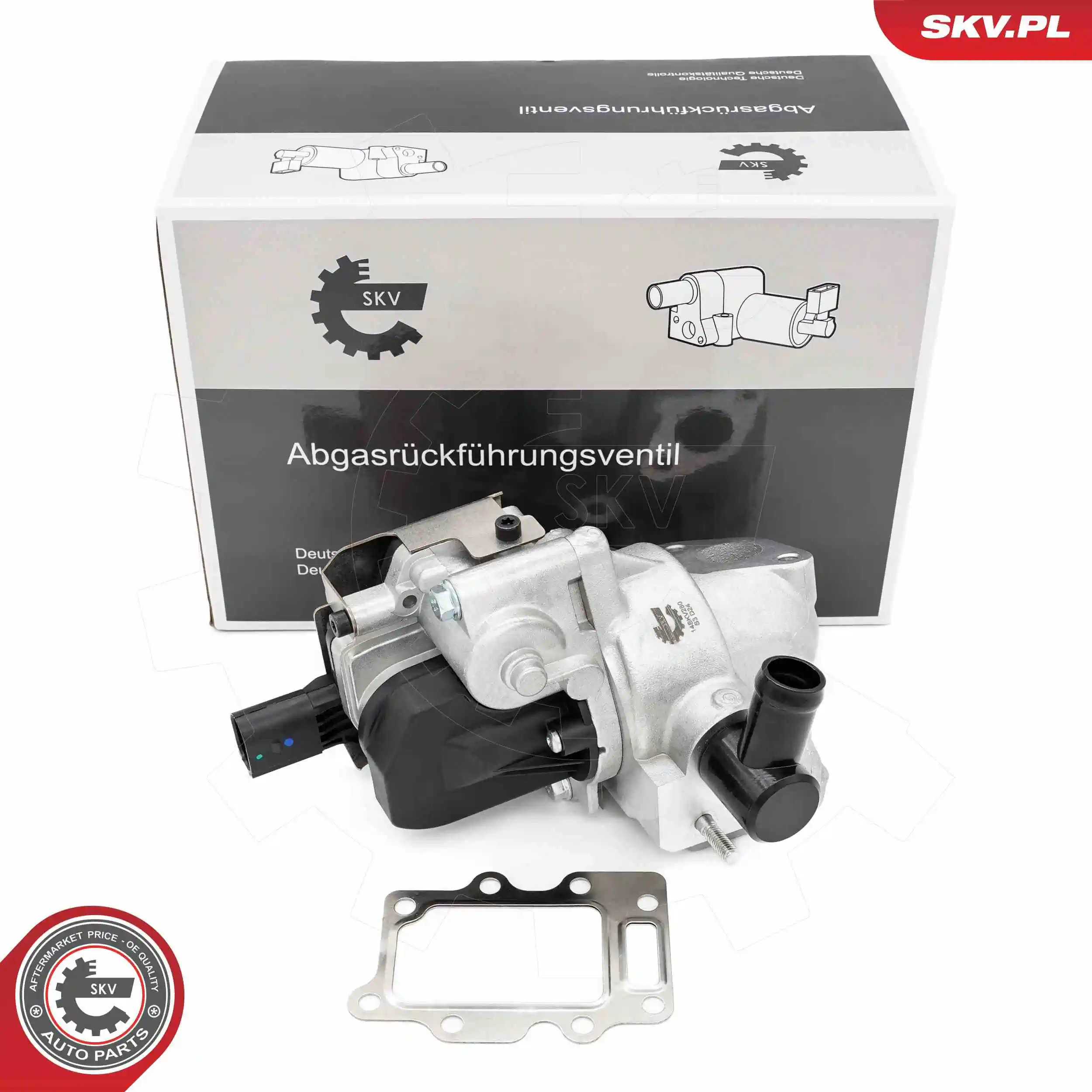 EGR Valve